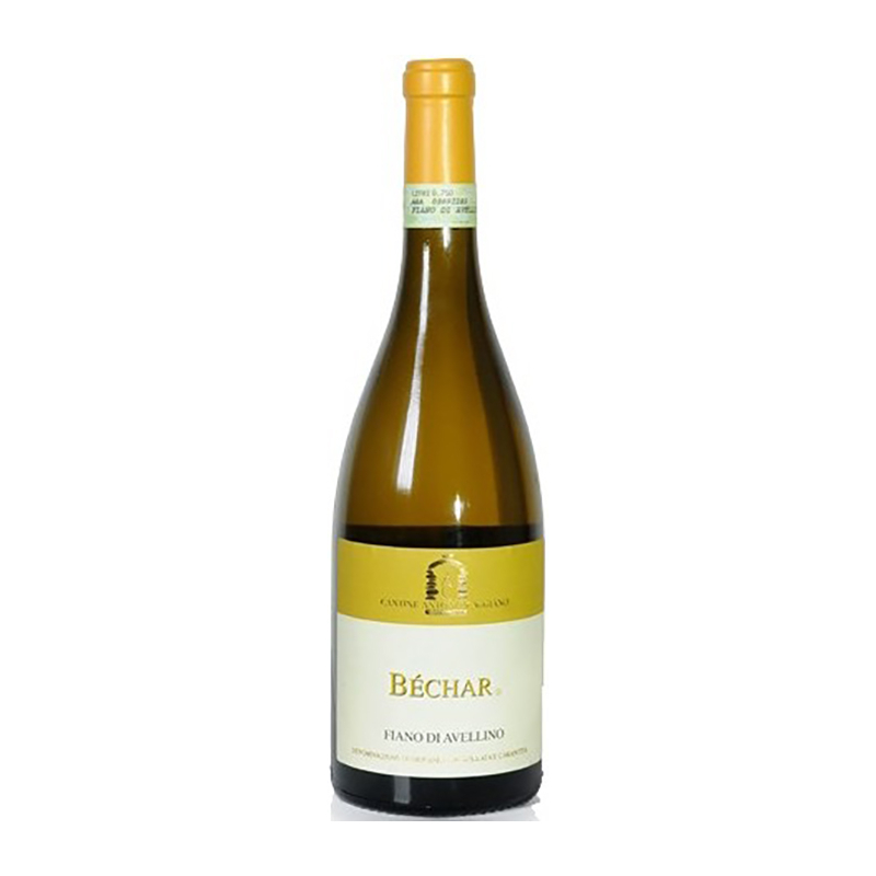 000287 -- 000 (1564) Fiano Di Avellino "béchar" 2022 - Antonio Caggiano 75 Cl. - immagine 1