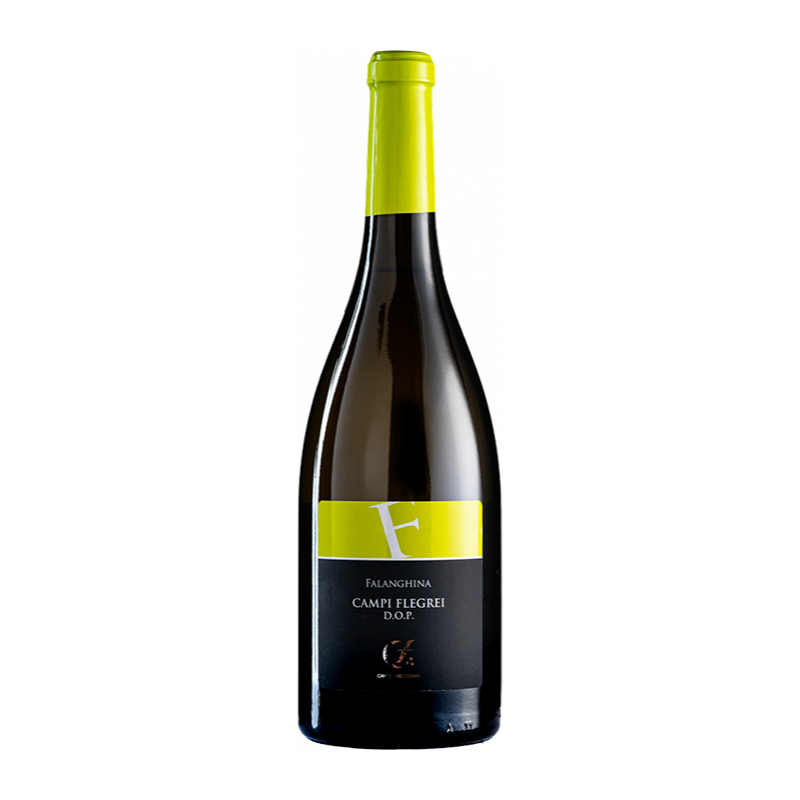 000296 -- 000 (1573) Falanghina Campi Flegrei Doc 2021 Cantine Federiciane 75 Cl. - immagine 1