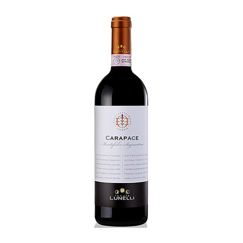 000390 -- 000 (1667) Montefalco Sagrantino Docg "carapace" 2016 - Tenuta Castelbuono, Tenute Lunelli 75 Cl. - immagine 1