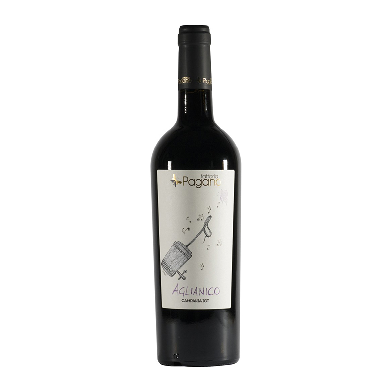 000511 -- 000 (1788) Aglianico Beneventano Igp - immagine 1