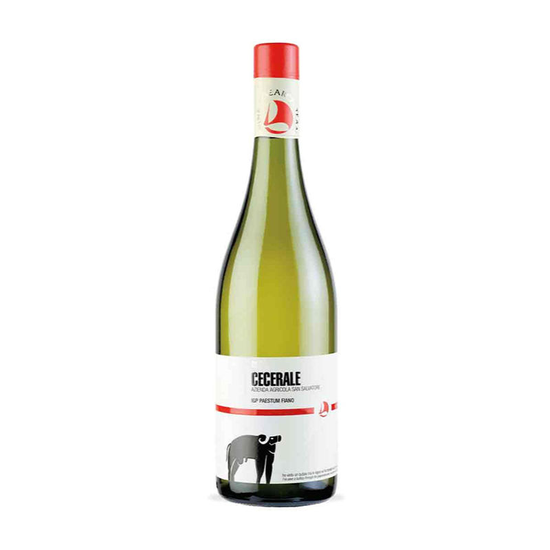 000525 -- 000 (1802) Cecerale Igp Paestum Fiano 2021 San Salvatore 75 Cl. - immagine 1