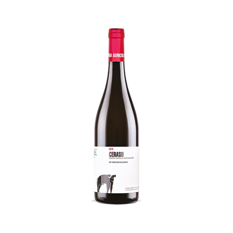 000531 -- 000 (1808) Magnum Ceraso Aglianico Campania Igp 2022 San Salvatore 150 Cl. - immagine 1
