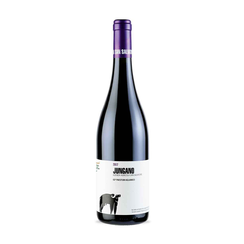000534 -- 000 (1811) Jungano Aglianico Paestum Igp 2020 San Salvatore 75 Cl. - immagine 1