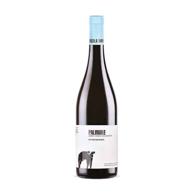 000536 -- 000 (1813) Palinure Paestum Bianco Igt 2022 - San Salvatore 75 Cl. - immagine 1