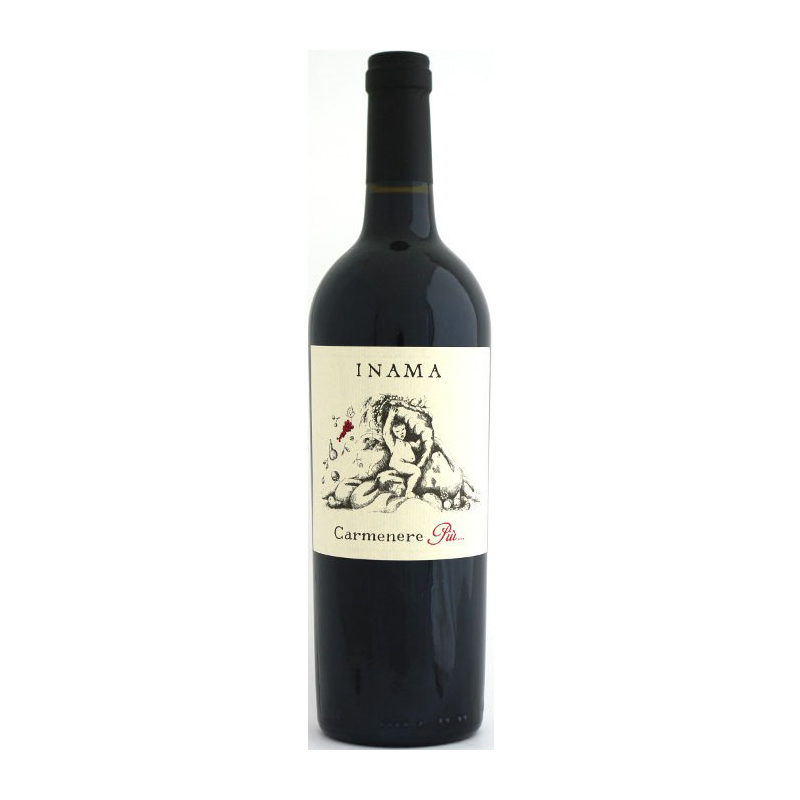 000555 -- 000 (1832) Carmenere Più Veneto Rosso Igp 2021 Inama 75 Cl. - immagine 1